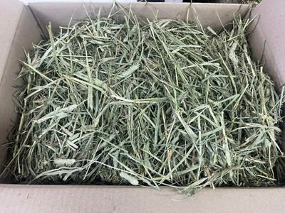 Hay Delicious Natural Timothy Hay